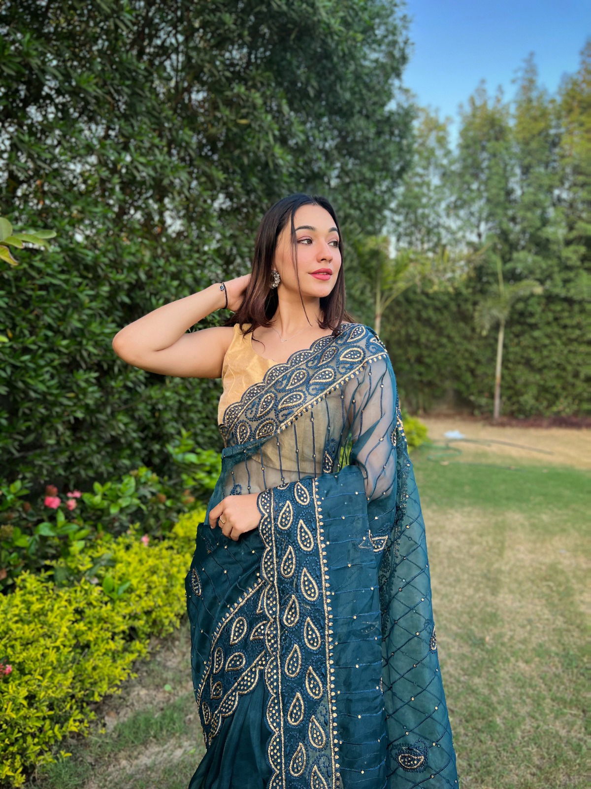 Anisha Embroidery Worked Party Wear Sarees Catalog
